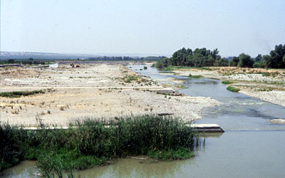 Tratto del fiume Ofanto al confine tra il territorio di Cerignola e quello di Canosa. (foto Gioacchino Albanese)