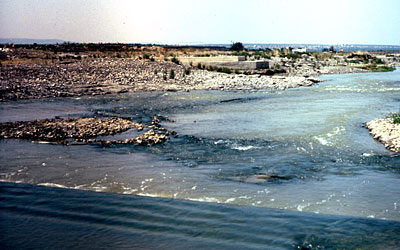 Le rive del fiume al confine tra il territorio di Cerignola e quello di Canosa. (foto Gioacchino Albanese)