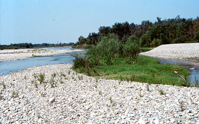 Uno dei tratti del fiume vicino al pianoro di Ripalta. (foto Gioacchino Albanese)
