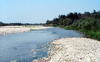 Uno dei tratti del fiume vicino al pianoro di Ripalta. (foto Gioacchino Albanese)