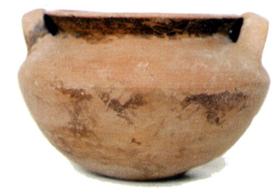 <i>Stamnos</i> alto 12 cm. Reperto della tomba 1. (dal volume GIOVANNA PACILIO - GIUSEPPE COMPAGNI, Terra antica di Ceri