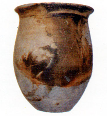 <i>Situla</i> alta 18 cm. . Reperto della tomba 1. (dal volume GIOVANNA PACILIO - GIUSEPPE COMPAGNI, Terra antica di Cer