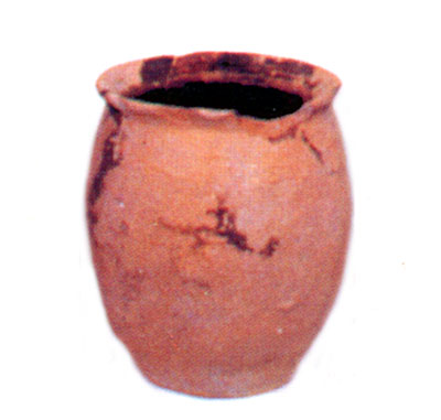 <i>Situla</i> alta 10 cm e mezzo. Reperto della tomba 2. (dal volume GIOVANNA PACILIO - GIUSEPPE COMPAGNI, Terra antica 