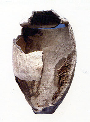 Pithos alto cm 38 per sepoltura ad <i>enkytrismos</i>. Reperto della tomba 3. (dal volume GIOVANNA PACILIO - GIUSEPPE CO