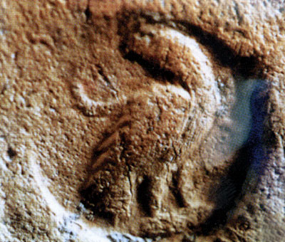 Marchio di peso da telaio. Raffigura un uccello con nel becco un serpentello. Reperto della tomba 10. (dal volume GIOVAN
