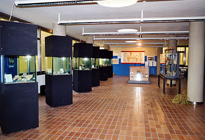 Veduta generale della mostra sui reperti di Lupara-Posta d'Ischia. (foto Gioacchino Albanese)