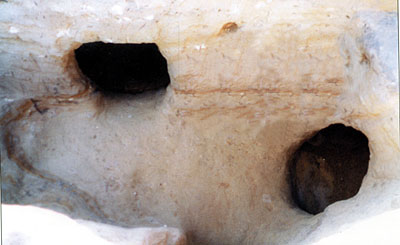 Gradini di un corridoio ( dromos ) e ingresso alle tombe. (dal volume GIOVANNA PACILIO - GIUSEPPE COMPAGNI, Terra antica