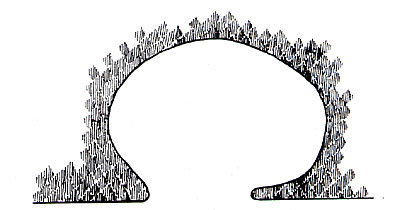 Pianta delle tombe a grotticella. (dal volume GIOVANNA PACILIO - GIUSEPPE COMPAGNI, Terra antica di Cerignola, tra Lupar