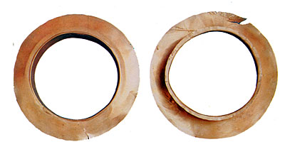 Salapia: anelli d'oro ritrovati in una tomba del IV secolo a. C. . (dal volume IL MUSEO DI FOGGIA, Foggia 1986)
