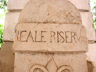 Titolo in pietra (particolare) che ricorda l'istituzione della riserva reale a Tressanti voluta da Ferdinando II di Borb