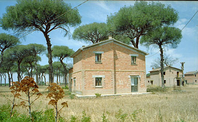 Le case coloniche sistemate nella pineta di Tressanti. (foto Gioacchino Albanese)