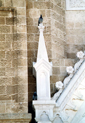 Duomo Tonti: pinnacolo del portale laterale. (foto Gioacchino Albanese)