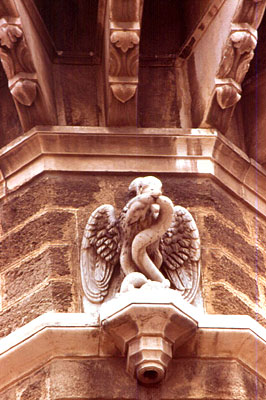 Duomo Tonti: doccione con decorazione dello stemma della città. (foto Gioacchino Albanese)