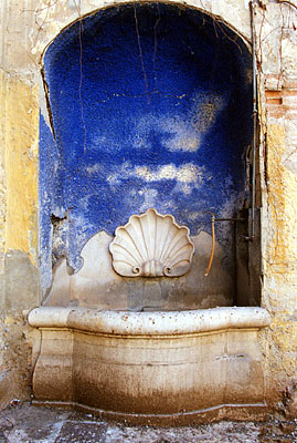 Palazzo Coccia-Cirillo: fontana con conchiglia. E' situata sulla sinistra, subito dopo la fine dell'androne. (foto Gioac