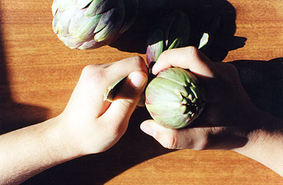 La pulizia dei carciofi prima della loro cotura. (foto Gioacchino Albanese)