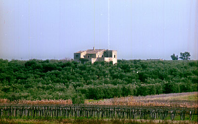 Masseria Acquamela. (foto Gioacchino Albanese)