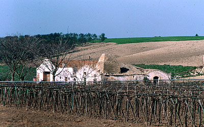 Il nucleo di edifici della masseria con il grosso camino per la preparazione di prodotti caseari. (foto Gioacchino Alban