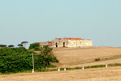 Il pendio su cui è collocata la masseria e la mezzana che ricopre il declivio. (foto Gioacchino Albanese)
