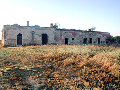La facciata principale con il viottolo di accesso alla masseria. (foto Gioacchino Albanese)