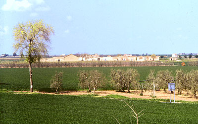 Masseria Coccia vista dal cavalcavia della vicina autostrada. (foto Gioacchino Albanese)