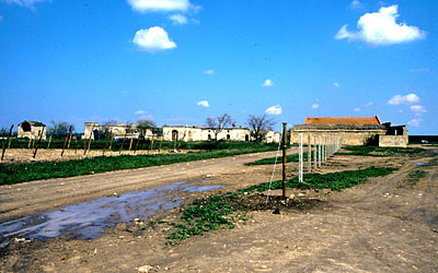 Tratturo di ingresso alla masseria Coccia. (foto Gioacchino Albanese)