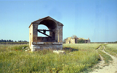 Pozzo e capannone della masseria Coccia. (foto Gioacchino Albanese)