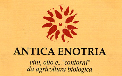 Marchio del sole raggiante per l'azienda denominata Antica Enotria.