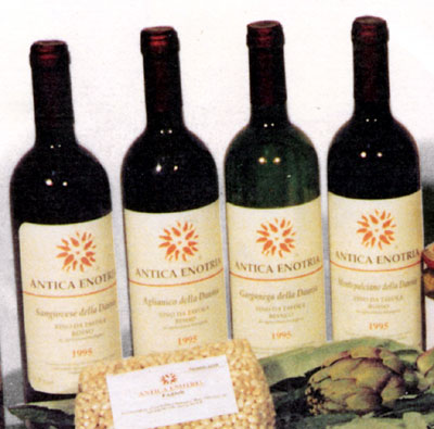 I vini prodotti dall'Azienda: Sangiovese della Daunia, Aglianico della Daunia, Garganega della Daunia, Montepulciano del