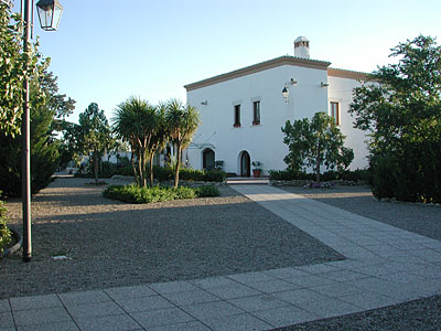Masseria il Gelso: viale di ingresso. (foto Gioacchino Albanese)