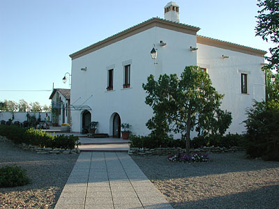 Masseria il Gelso: viale di ingresso. (foto Gioacchino Albanese)