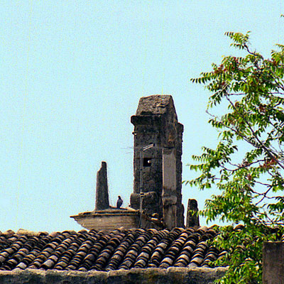 La cella campanaria con i pinnacoli ornamentali a forma di tronco di cono. (foto Gioacchino Albanese)