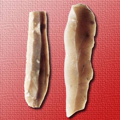 Lame di selce trovate a Ripalta e attribuibili al neolitico(VI millennio a. C.). (foto Sovrintendenza archeologica )