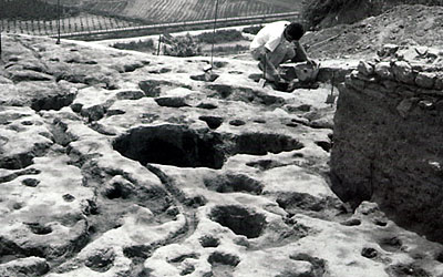 Buche per infissione di pali per capanne preistoriche, portate alla luce sul pianoro di Ripalta. (foto Sovrintendenza ar