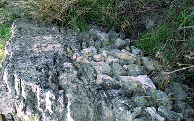 Resti del muro preistorico emergenti dal terreno. Il muro si estendeva per centinaia di metri. (foto Gioacchino Albanese
