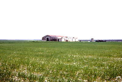Masseria Mancini: veduta d'insieme nel paesaggio. (foto Gioacchino Albanese)