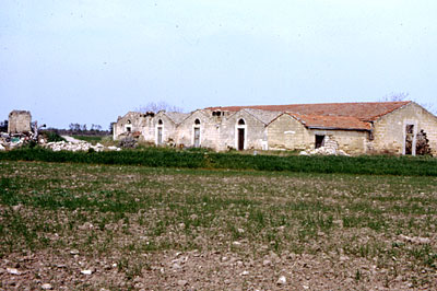 Masseria Mancini: è formata da un grosso caseggiato e da case a schiera addossate all'edificio più grande. (foto Gioacch