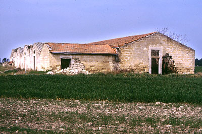 Masseria Mancini: aperture laterali di una delle case e della stalla. (foto Gioacchino Albanese)