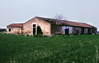 Masseria Mancini: aperture posteriori dell'edificio grande. (foto Gioacchino Albanese)