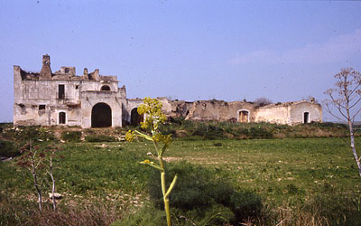 Prospetto laterale in cui più è leggibile la configurazione originaria della masseria, che non presentava originariament