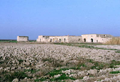 Masseria Parchi Tonti-Cantatore: veduta generale. (foto Gioacchino Albanese)
