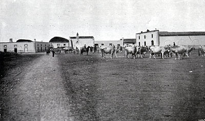 Masseria Pavoni in una foro della prima metà del 900. (foto d'epoca )