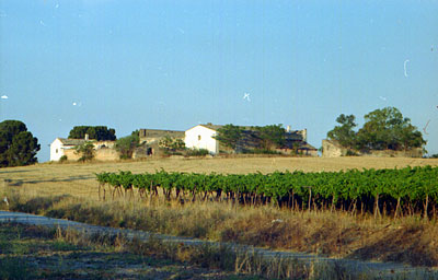 Masseria Pozzella: il complesso degli edifici. (foto Gioacchino Albanese)