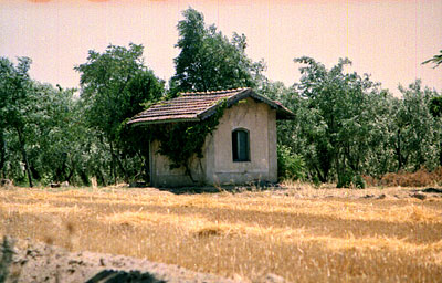 Masseria Pozzella: piccolo gazebo. (foto Gioacchino Albanese)