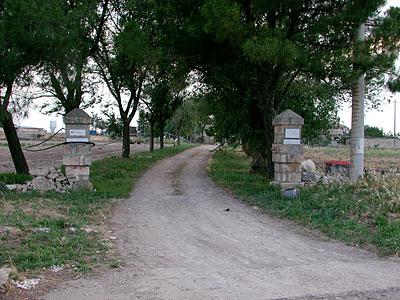 Masseria di Pozzomonaco: viale di accesso. (foto Gioacchino Albanese)