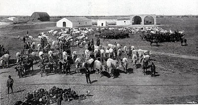 Lo spazio antistante i vari fabbricati e chiamato campana che veniva utilizzato per vari lavori agricoli. (foto d'epoca 