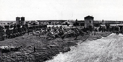 La campana e sul fondo i silos per il fieno e le stalle, mentre al centro è sistemata la casa torre del custode. (foto p