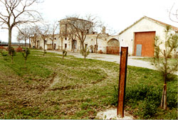 Profico