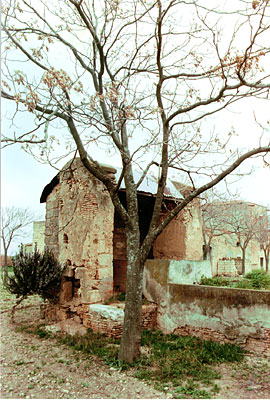 Masseria Profico: il pozzo coperto. (foto Gioacchino Albanese)