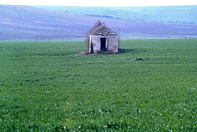 San Giovanni in fonte: pozzo della masseria. (foto Gioacchino Albanese)