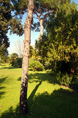 Masseria San Lorenzo: giardino della masseria (particolare). (foto Gioacchino Albanese)